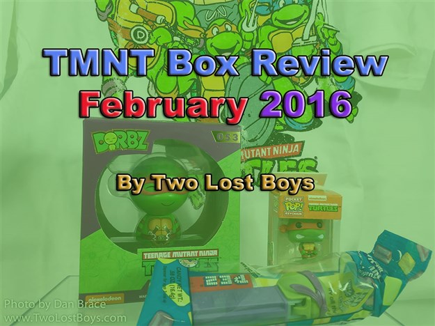 TMNT Box Review